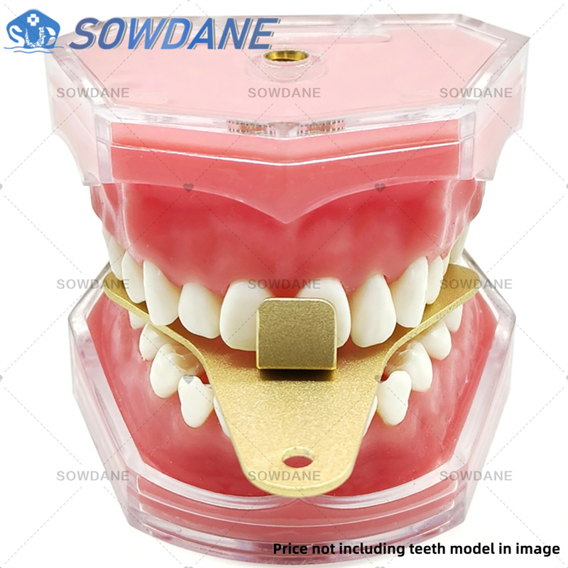 Baki Impresi Laboratorium Gigi - Teeth Whitening Trays ulasan dan harga