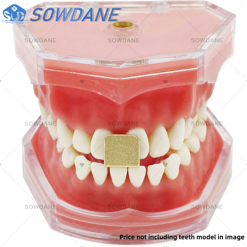 Baki Impresi Laboratorium Gigi - Teeth Whitening Trays ulasan dan harga