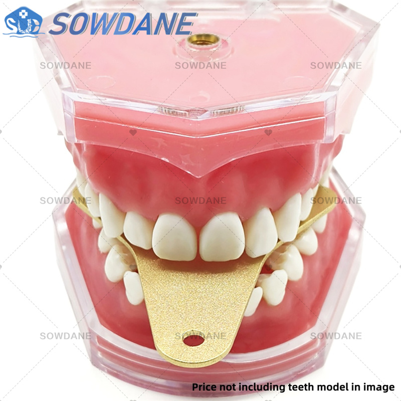 Baki Impresi Laboratorium Gigi - Teeth Whitening Trays ulasan dan harga